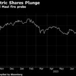 The future of the Hawaiian Electric Company is in doubt after the billion-dollar collapse